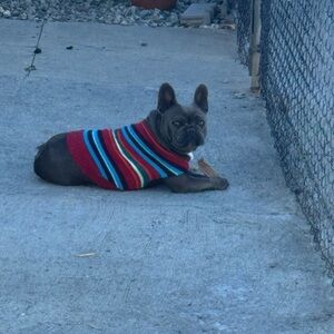 Sold out Blue Denim Jumpsuit flare